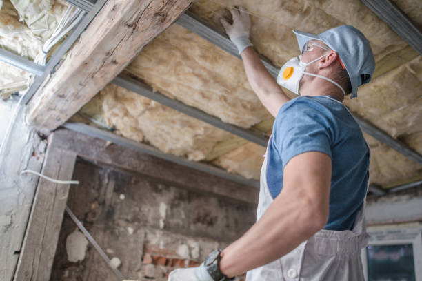 Best Insulation Installation Services in Union City, OH